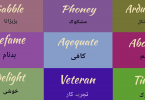 Hard vocabulary words with Urdu meaning | Vocabulary for exam
