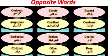 Vocabulary Words with meaning Synonyms and Antonyms pdf