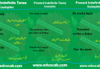 Present Indefinite Tense Examples In Urdu pdf | Present Indefinite Tense Rules