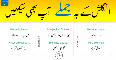 Click to Download English to Urdu Sentences Set 2 PDF Booklet