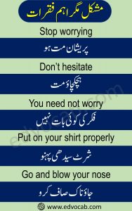 English To Urdu Sentences Set 1