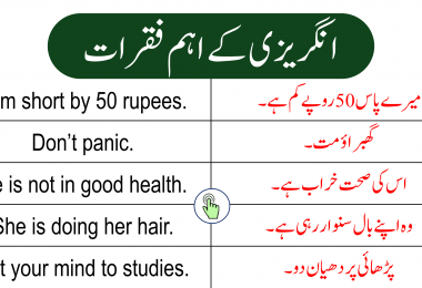 English to Urdu Sentences PDF book