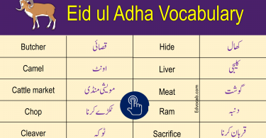 vocabulary related eid ul adha